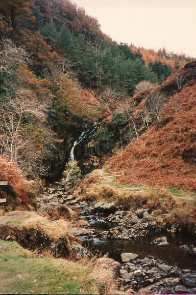 Mountain Stream